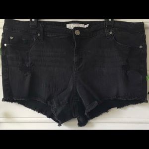Torrid Frayed and Distressed Shorts